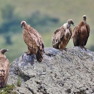 La Tana delle Idee: Il Parco in Miniatura